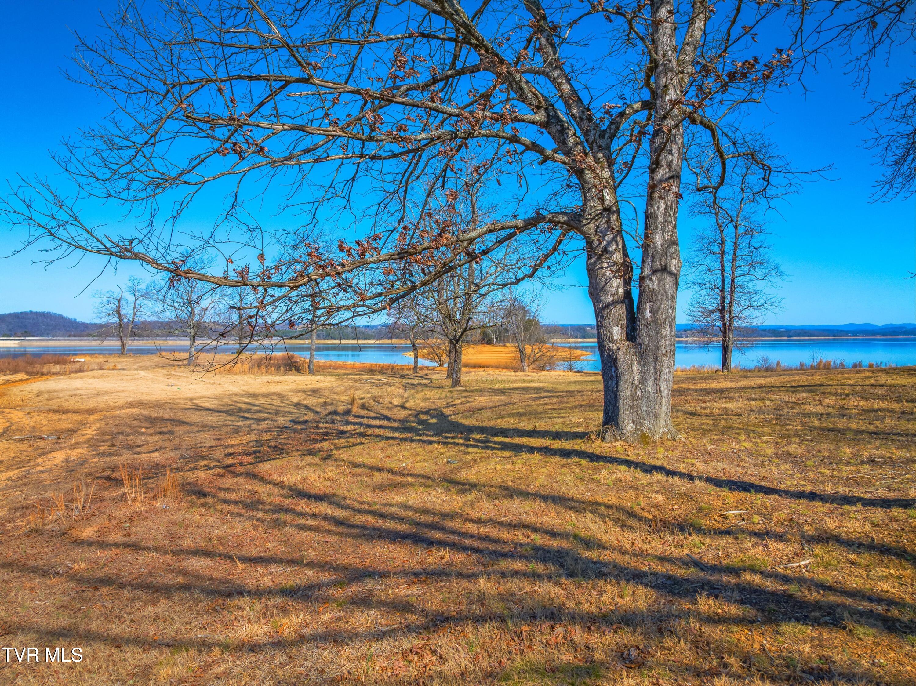 463 Heather Brook Drive, Jefferson City, Tennessee image 33