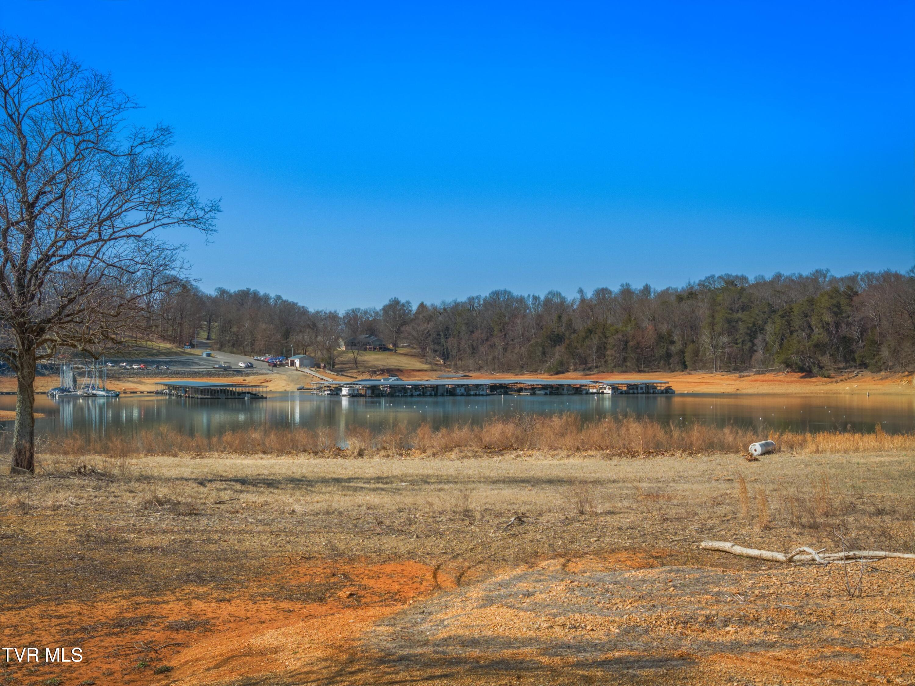 463 Heather Brook Drive, Jefferson City, Tennessee image 48