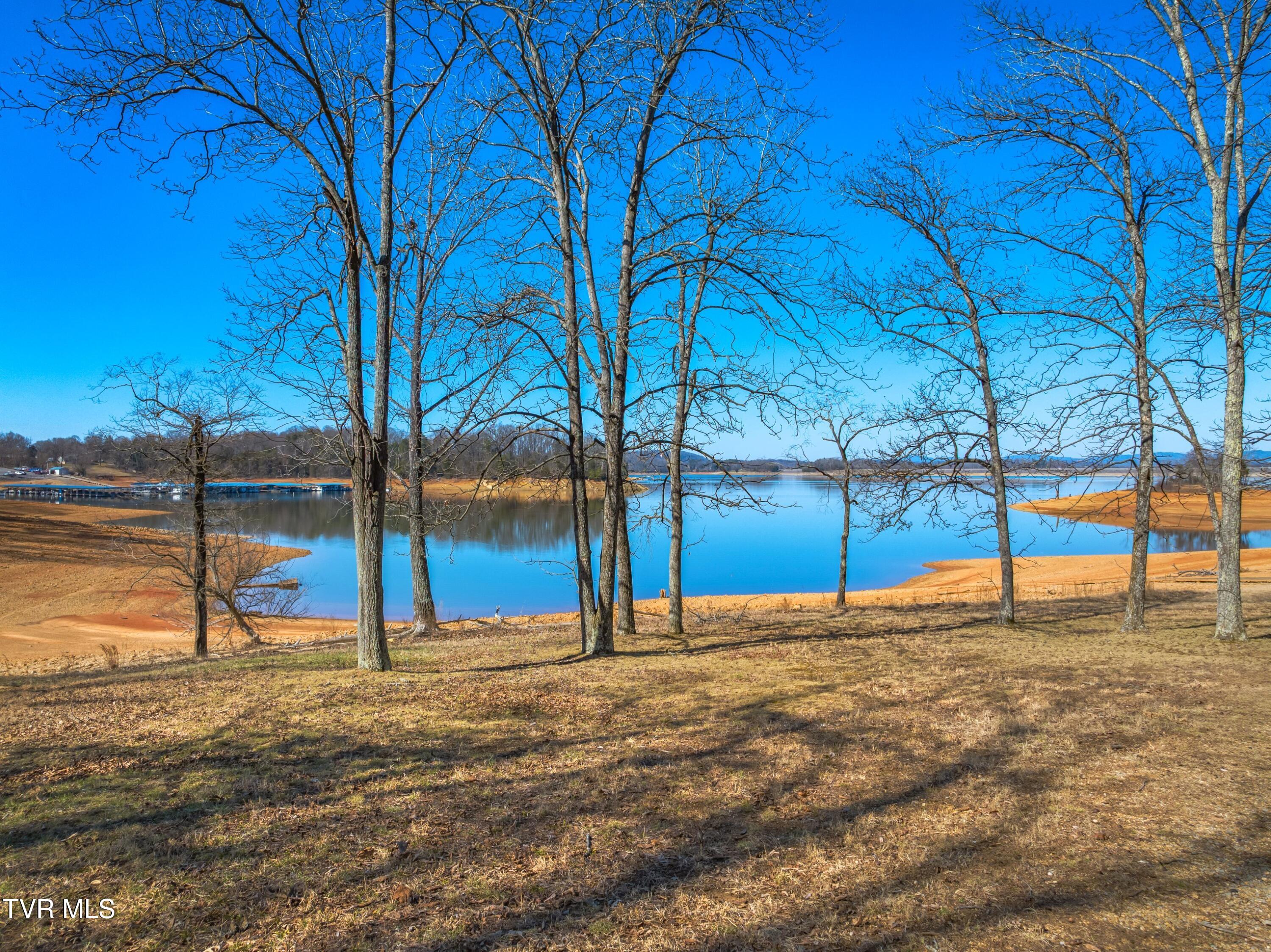 463 Heather Brook Drive, Jefferson City, Tennessee image 22