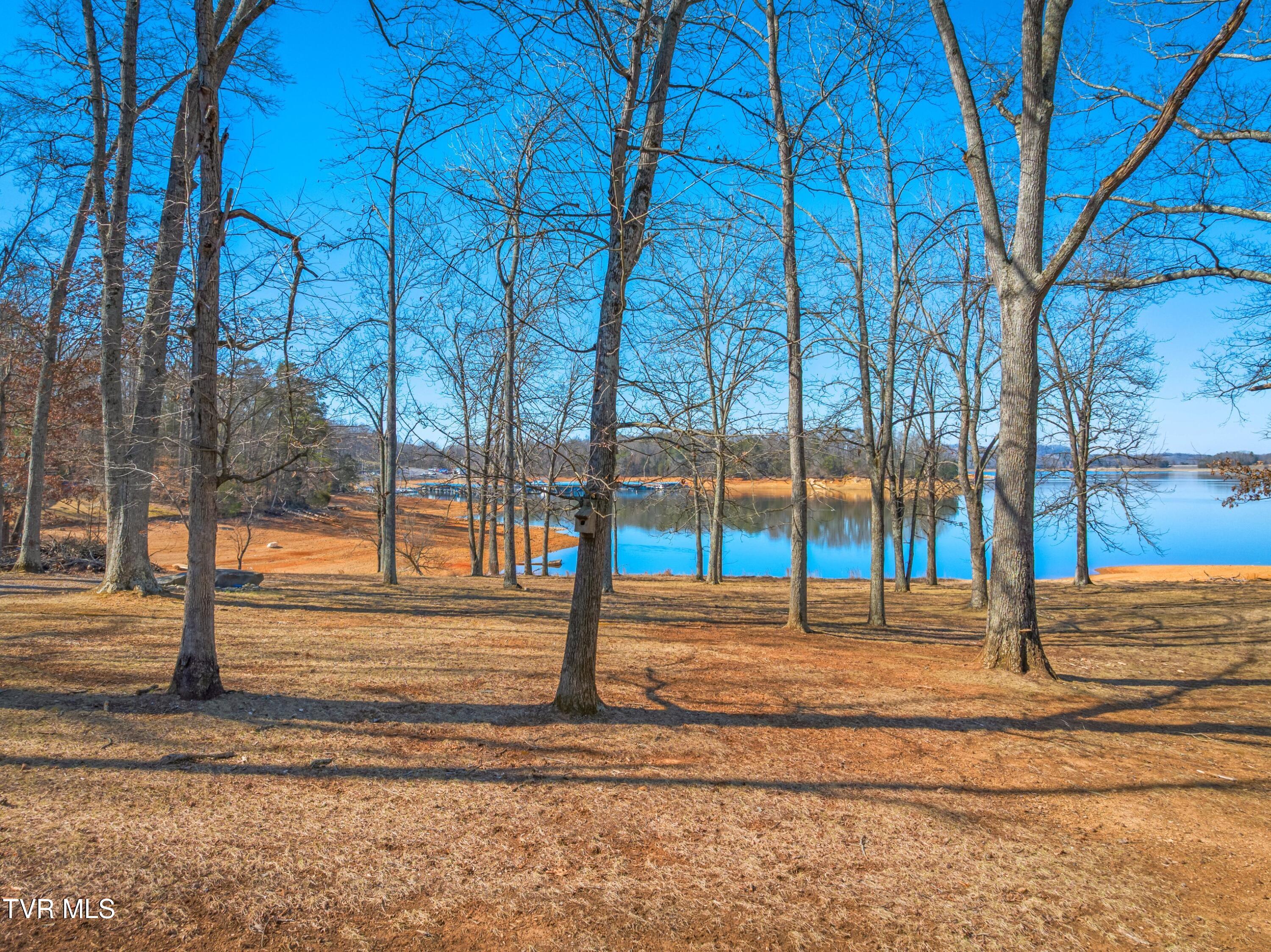 463 Heather Brook Drive, Jefferson City, Tennessee image 27