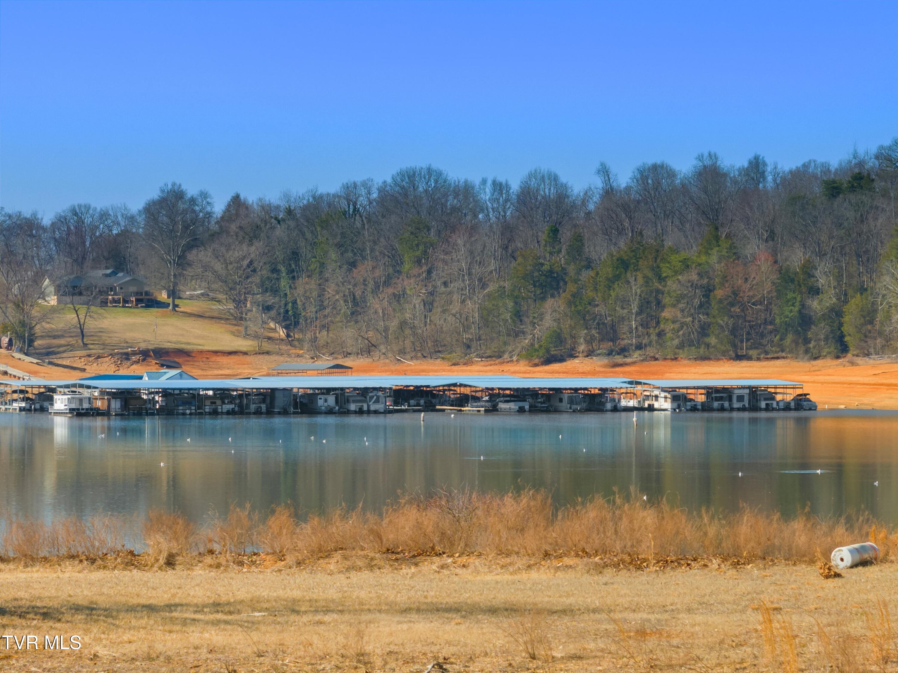 463 Heather Brook Drive, Jefferson City, Tennessee image 39
