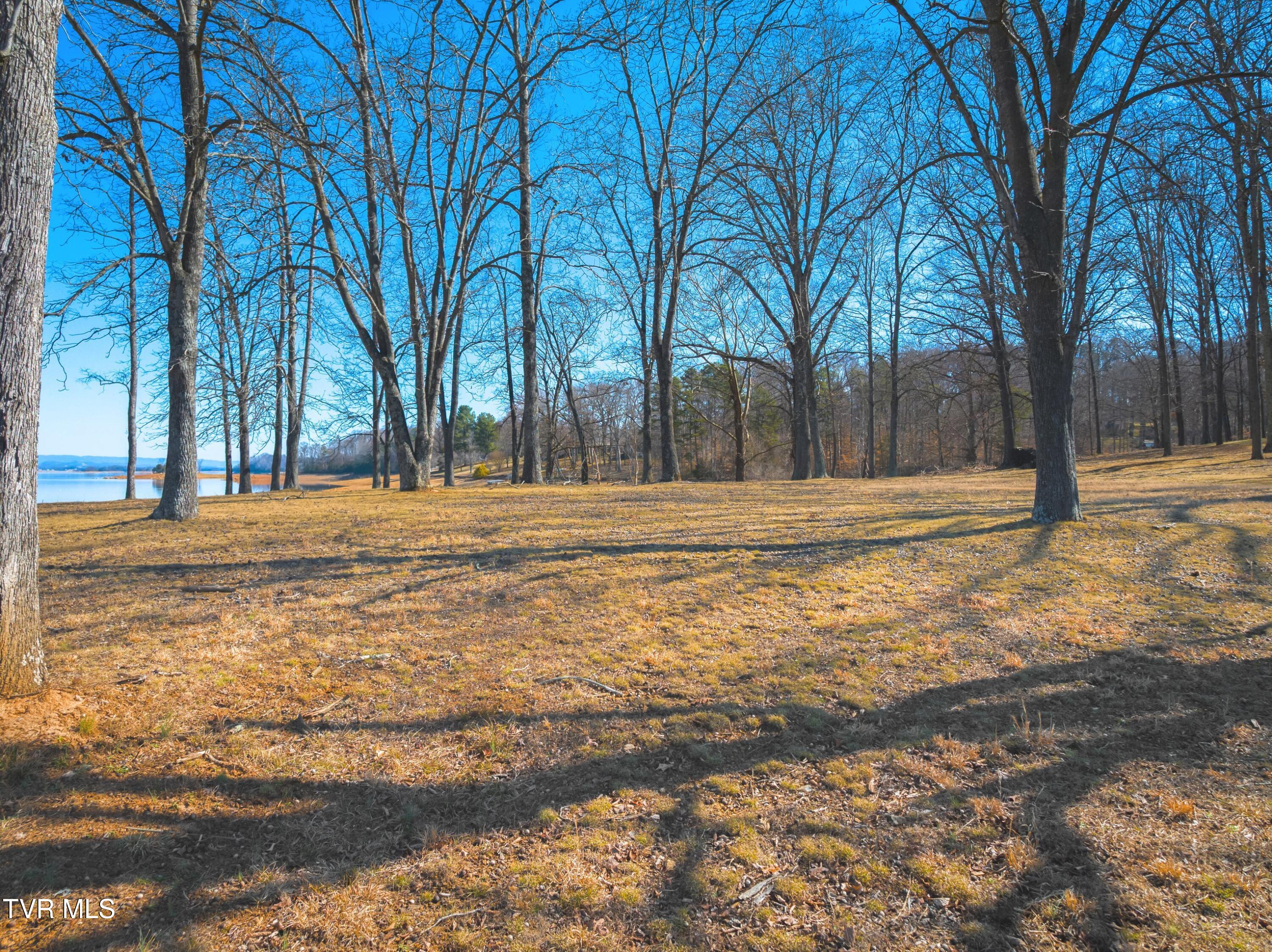 463 Heather Brook Drive, Jefferson City, Tennessee image 36