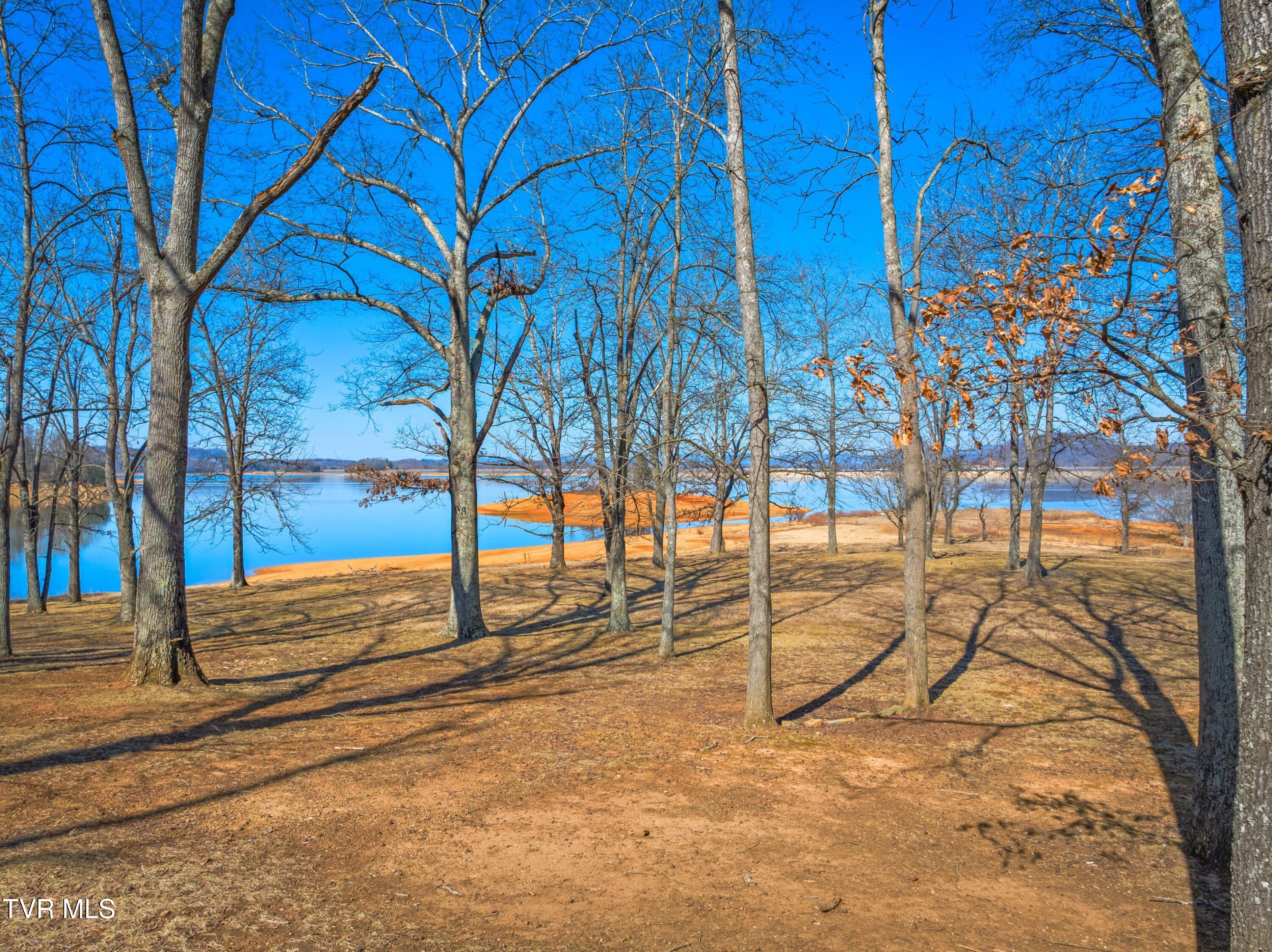 463 Heather Brook Drive, Jefferson City, Tennessee image 25