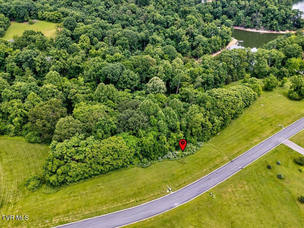 5037 Serenity Drive, Mooresburg, Tennessee image 24