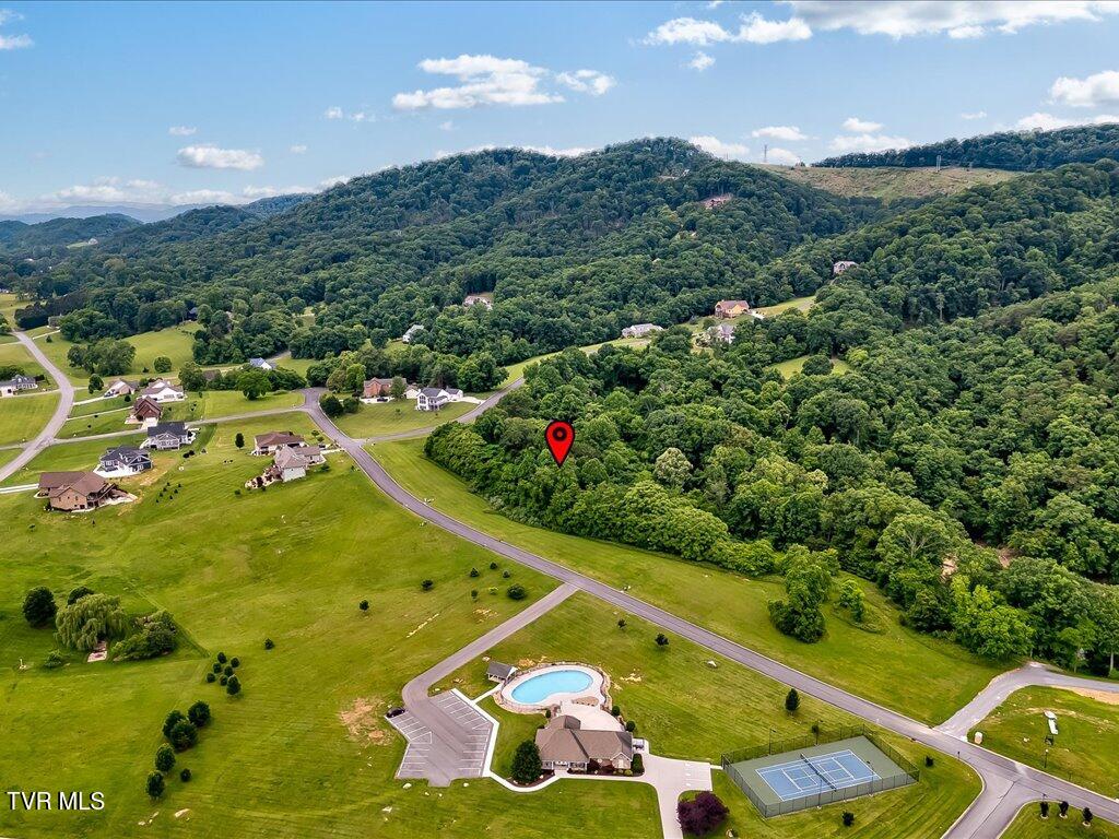 5037 Serenity Drive, Mooresburg, Tennessee image 4