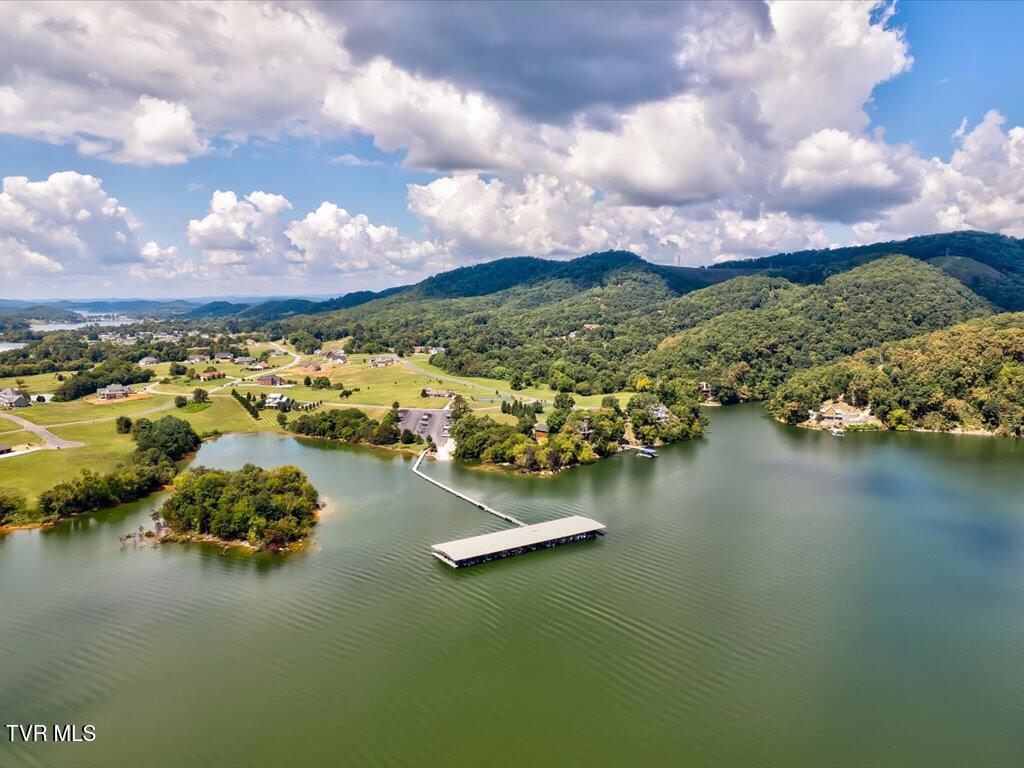 5037 Serenity Drive, Mooresburg, Tennessee image 31