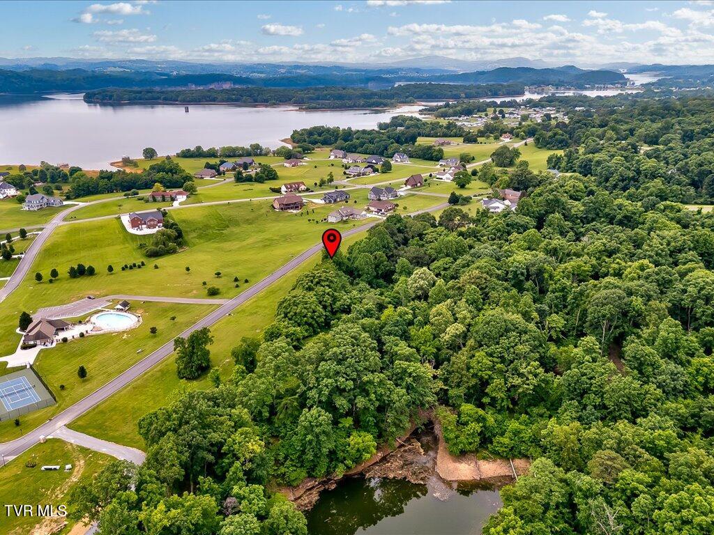 5037 Serenity Drive, Mooresburg, Tennessee image 19