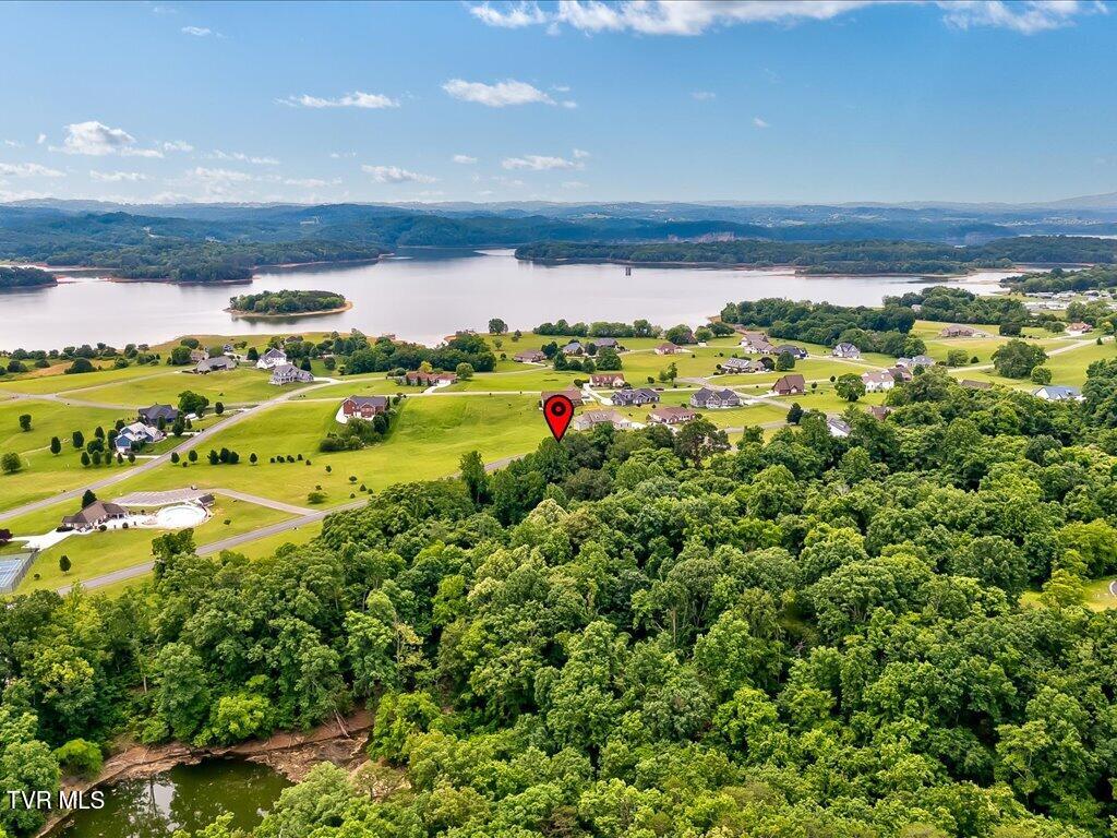 5037 Serenity Drive, Mooresburg, Tennessee image 10
