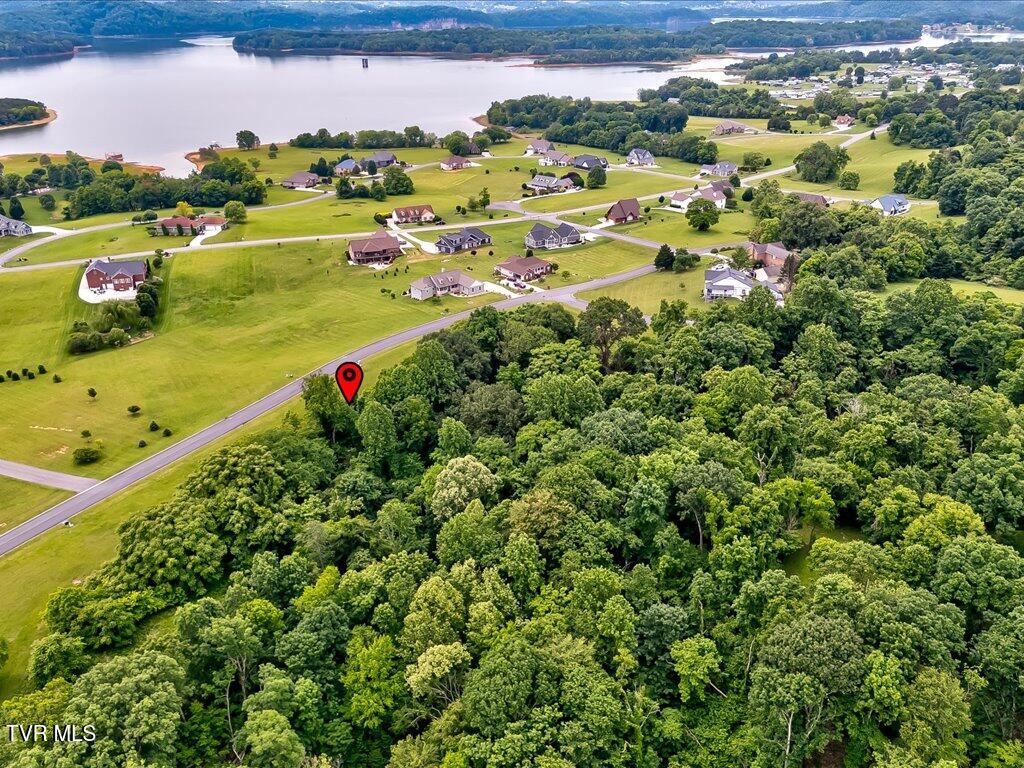 5037 Serenity Drive, Mooresburg, Tennessee image 20