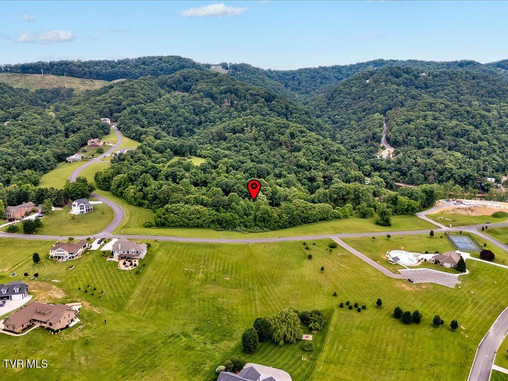 5037 Serenity Drive, Mooresburg, Tennessee image 15