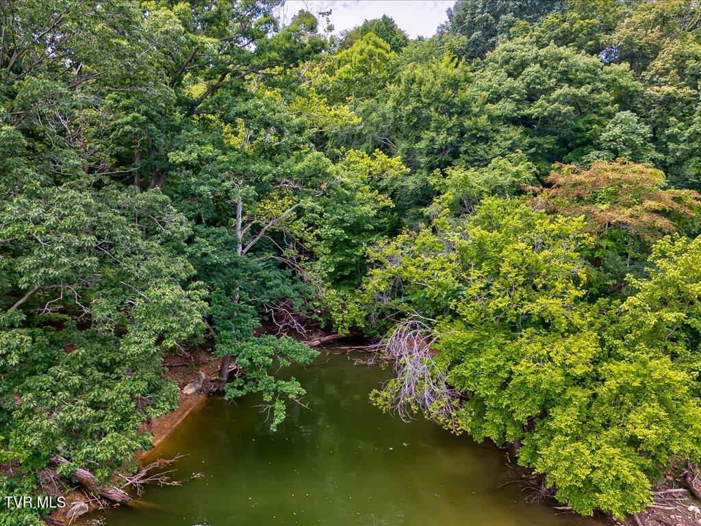 5037 Serenity Drive, Mooresburg, Tennessee image 27