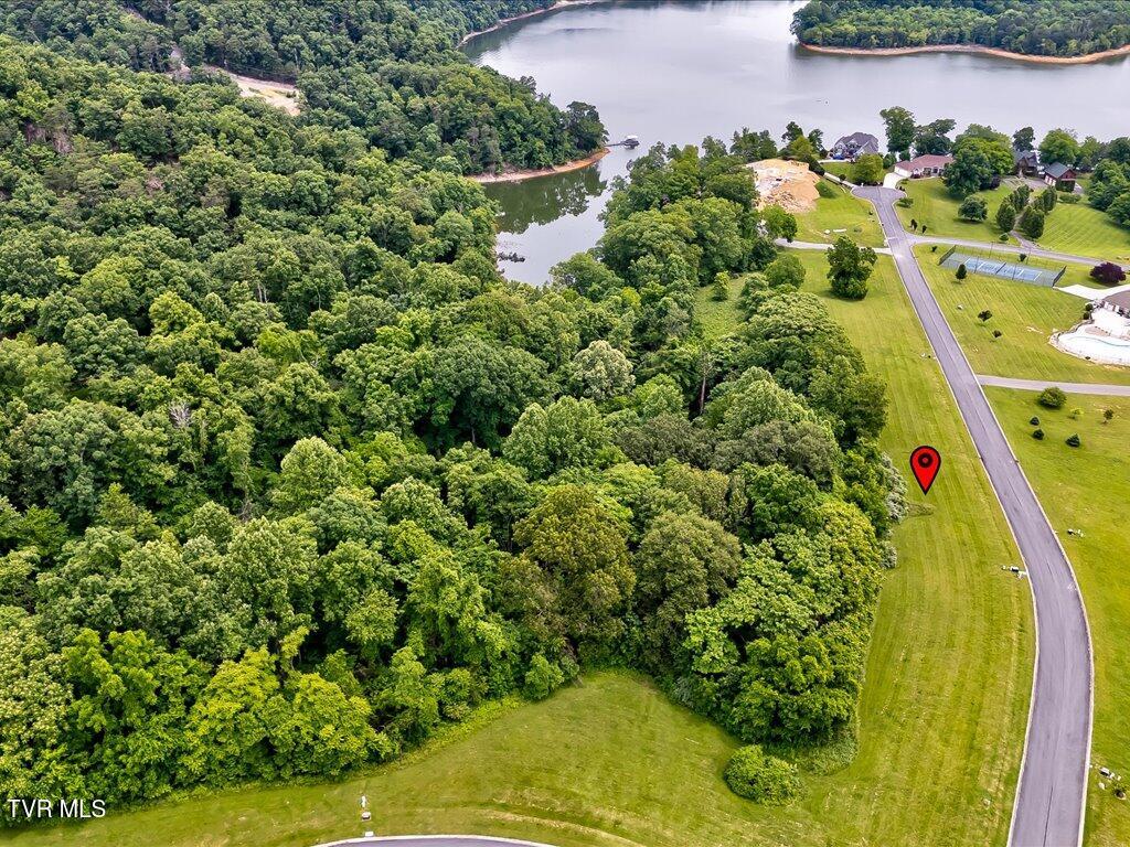 5037 Serenity Drive, Mooresburg, Tennessee image 23