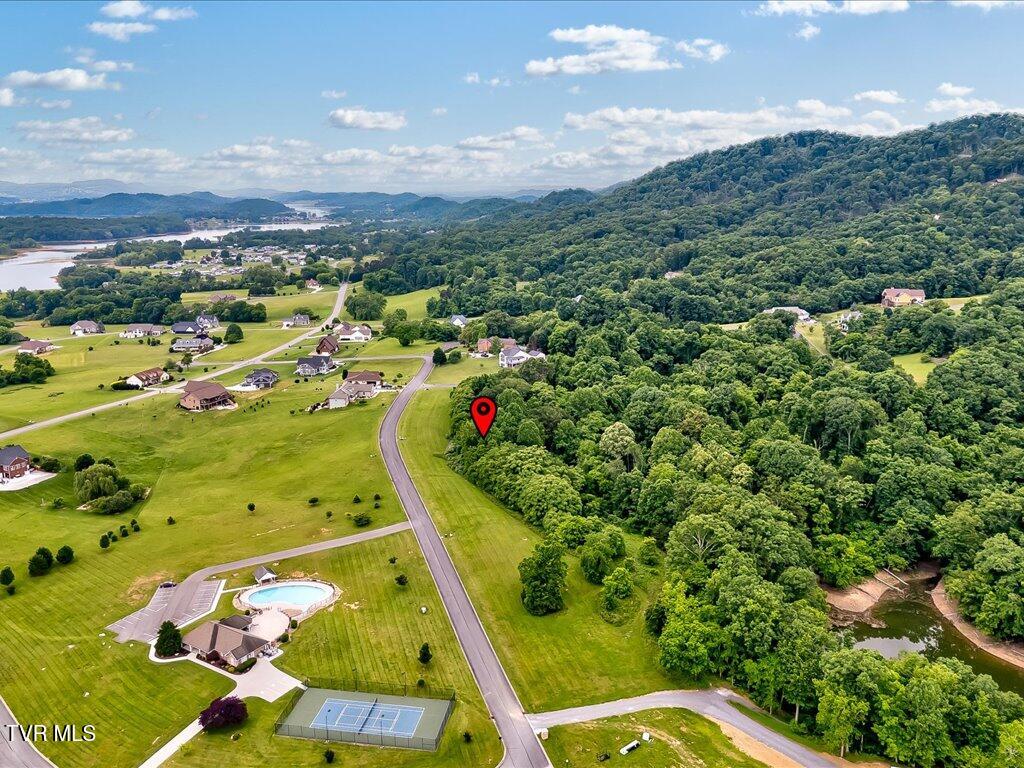 5037 Serenity Drive, Mooresburg, Tennessee image 17