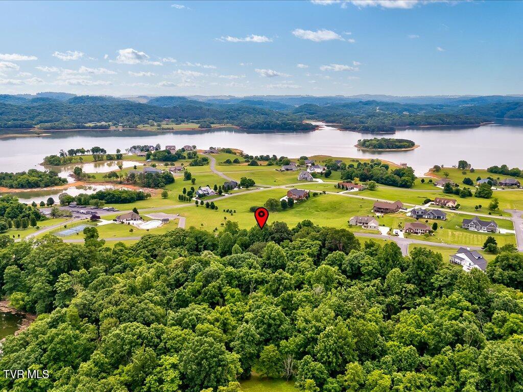 5037 Serenity Drive, Mooresburg, Tennessee image 11