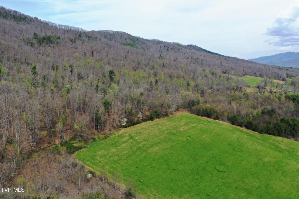 Photo of 43 Tbd Houston Valley Tract 3 Road, Greeneville, TN 37743 (MLS # 9993595)