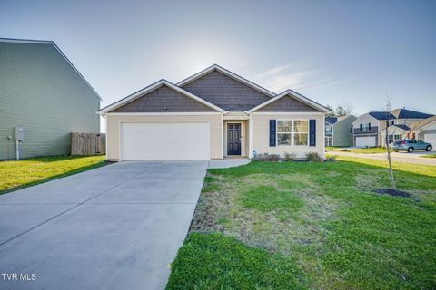 1332 Clark Point Road Kingsport TN 37660