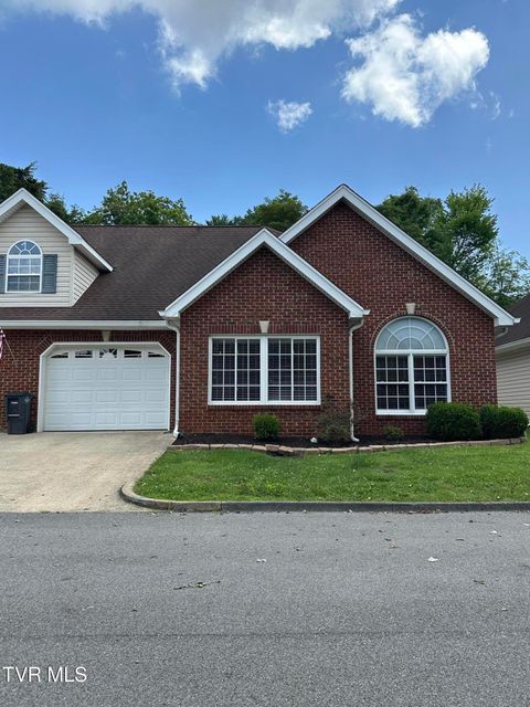 Homes For Sale - 3838 Oakley Place<br/> Kingsport, TN 37664