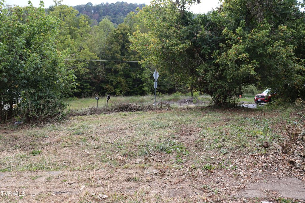 Photo of 1033 Maple Gap Road, Swords Creek, VA 24649 (MLS # 9986110)