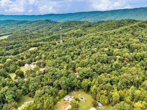 Tiny photo for 262 Mountain View Drive, Rutledge, TN 37861 (MLS # 9985995)