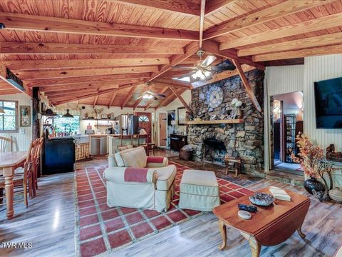 Tiny photo for 262 Mountain View Drive, Rutledge, TN 37861 (MLS # 9985995)