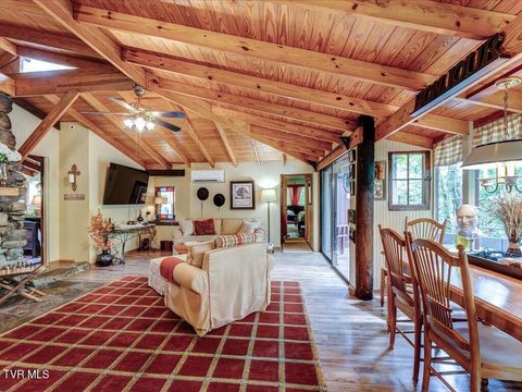 Tiny photo for 262 Mountain View Drive, Rutledge, TN 37861 (MLS # 9985995)