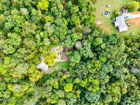 Tiny photo for 262 Mountain View Drive, Rutledge, TN 37861 (MLS # 9985995)