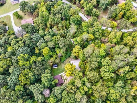 Tiny photo for 262 Mountain View Drive, Rutledge, TN 37861 (MLS # 9985995)
