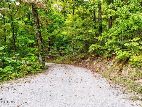 Tiny photo for 262 Mountain View Drive, Rutledge, TN 37861 (MLS # 9985995)