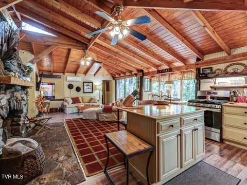 Tiny photo for 262 Mountain View Drive, Rutledge, TN 37861 (MLS # 9985995)