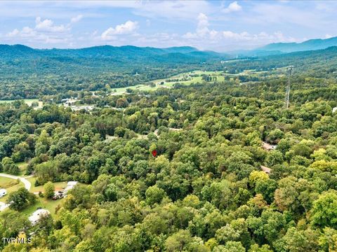 Tiny photo for 262 Mountain View Drive, Rutledge, TN 37861 (MLS # 9985995)