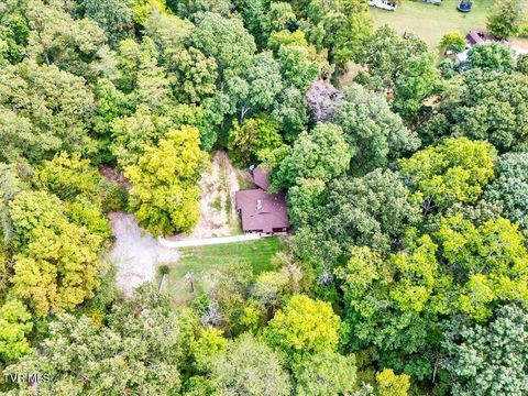 Tiny photo for 262 Mountain View Drive, Rutledge, TN 37861 (MLS # 9985995)