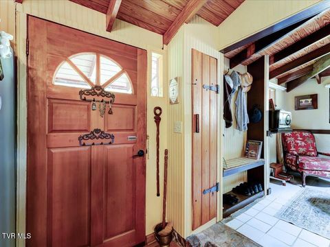 Tiny photo for 262 Mountain View Drive, Rutledge, TN 37861 (MLS # 9985995)