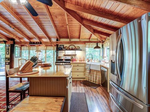 Tiny photo for 262 Mountain View Drive, Rutledge, TN 37861 (MLS # 9985995)