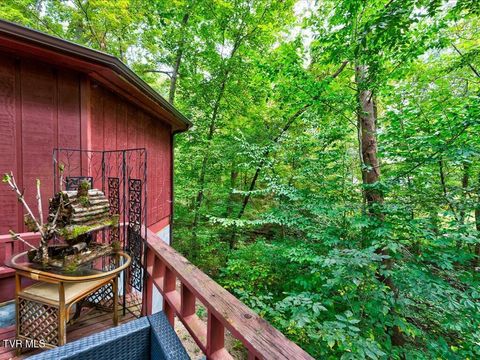 Tiny photo for 262 Mountain View Drive, Rutledge, TN 37861 (MLS # 9985995)