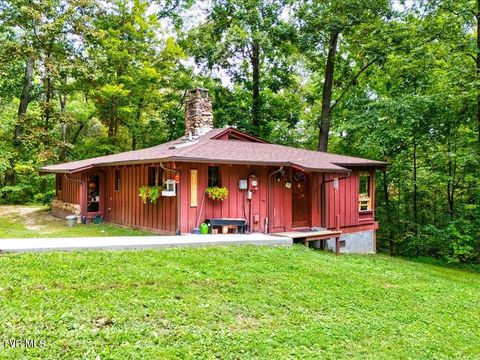 Tiny photo for 262 Mountain View Drive, Rutledge, TN 37861 (MLS # 9985995)
