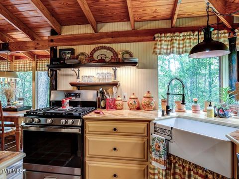 Tiny photo for 262 Mountain View Drive, Rutledge, TN 37861 (MLS # 9985995)