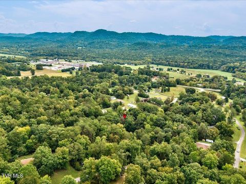 Tiny photo for 262 Mountain View Drive, Rutledge, TN 37861 (MLS # 9985995)