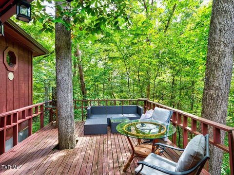 Tiny photo for 262 Mountain View Drive, Rutledge, TN 37861 (MLS # 9985995)
