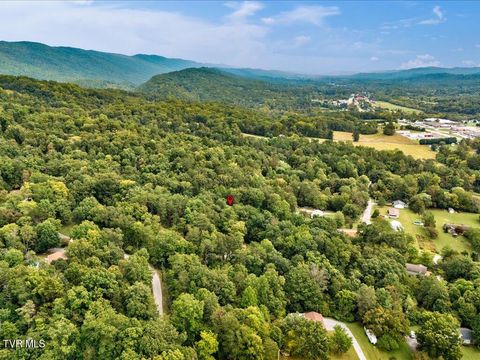 Tiny photo for 262 Mountain View Drive, Rutledge, TN 37861 (MLS # 9985995)