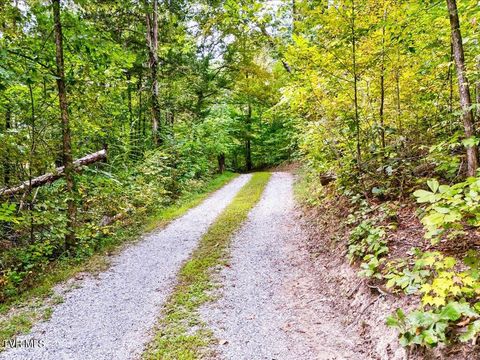 Tiny photo for 262 Mountain View Drive, Rutledge, TN 37861 (MLS # 9985995)