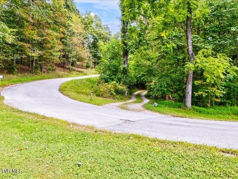 Tiny photo for 262 Mountain View Drive, Rutledge, TN 37861 (MLS # 9985995)