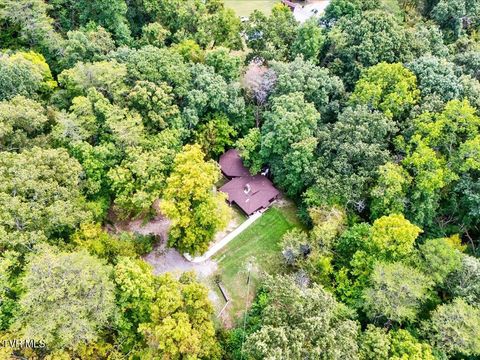 Tiny photo for 262 Mountain View Drive, Rutledge, TN 37861 (MLS # 9985995)