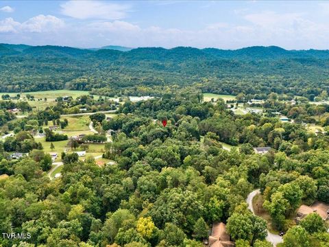 Tiny photo for 262 Mountain View Drive, Rutledge, TN 37861 (MLS # 9985995)