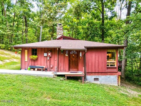 Tiny photo for 262 Mountain View Drive, Rutledge, TN 37861 (MLS # 9985995)