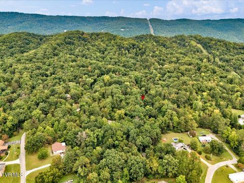 Tiny photo for 262 Mountain View Drive, Rutledge, TN 37861 (MLS # 9985995)