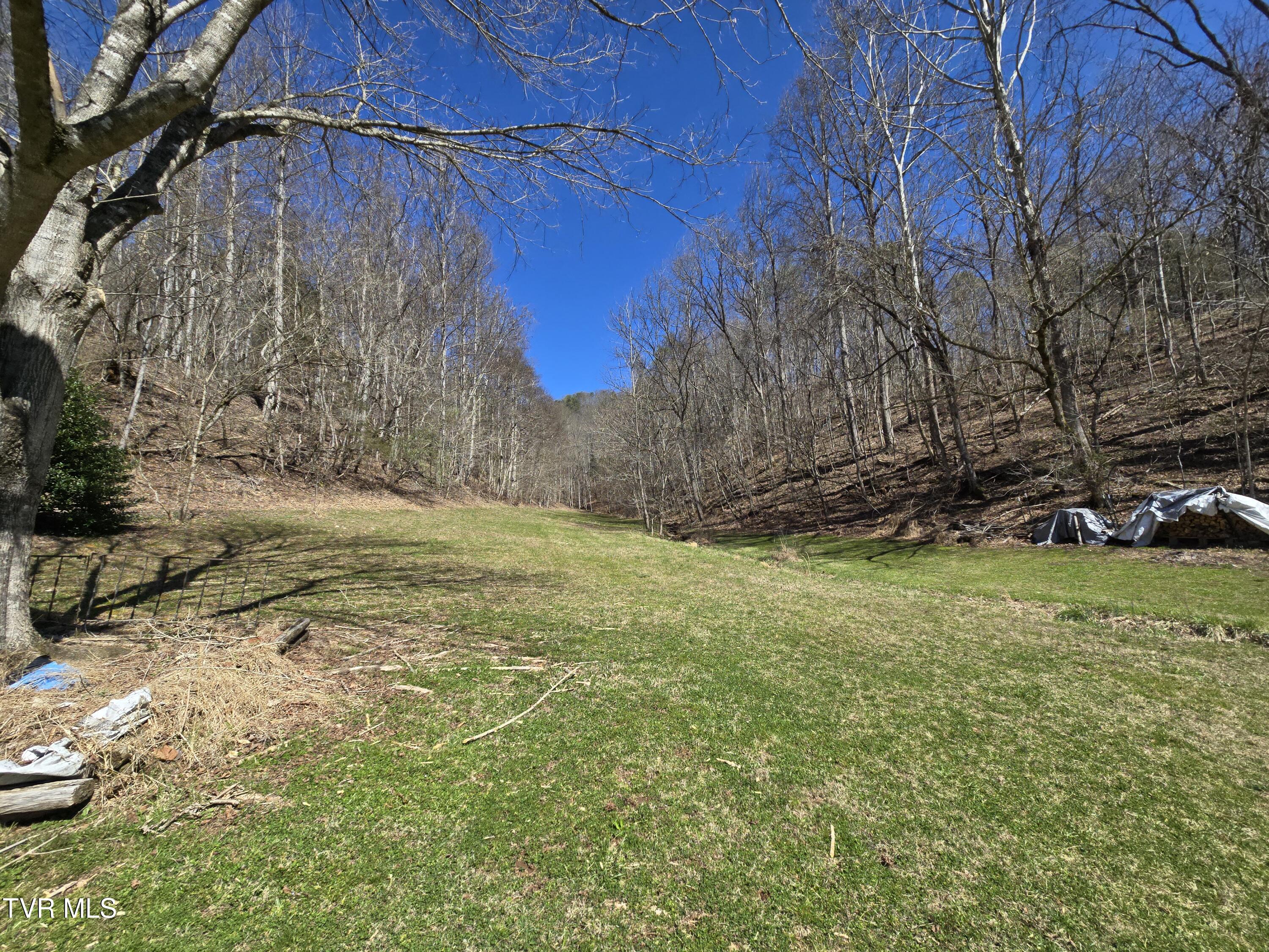 2388 Ruritan Run Road Road, Gate City, Virginia image 50