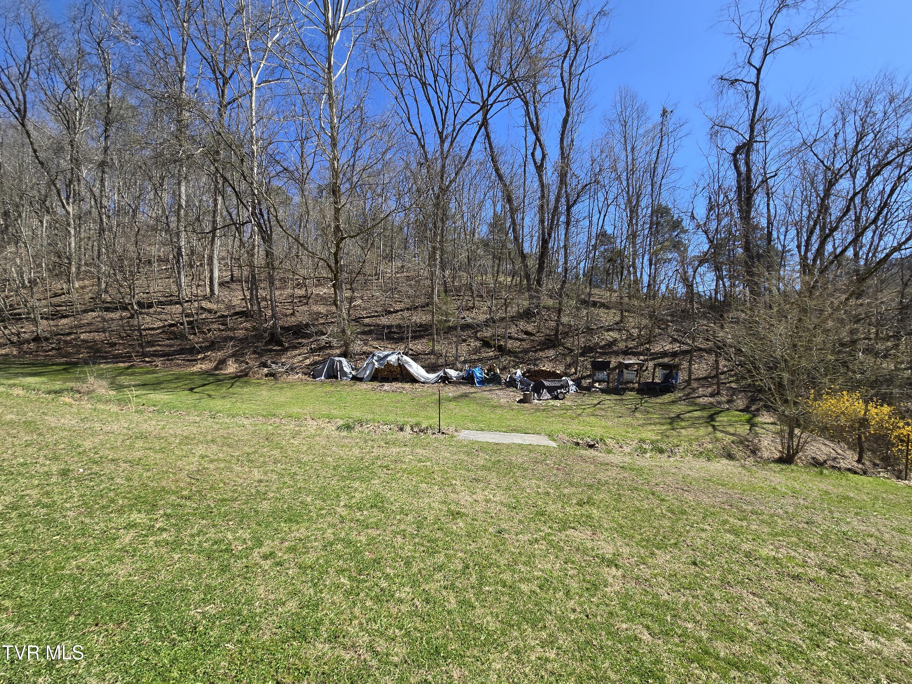 2388 Ruritan Run Road Road, Gate City, Virginia image 47