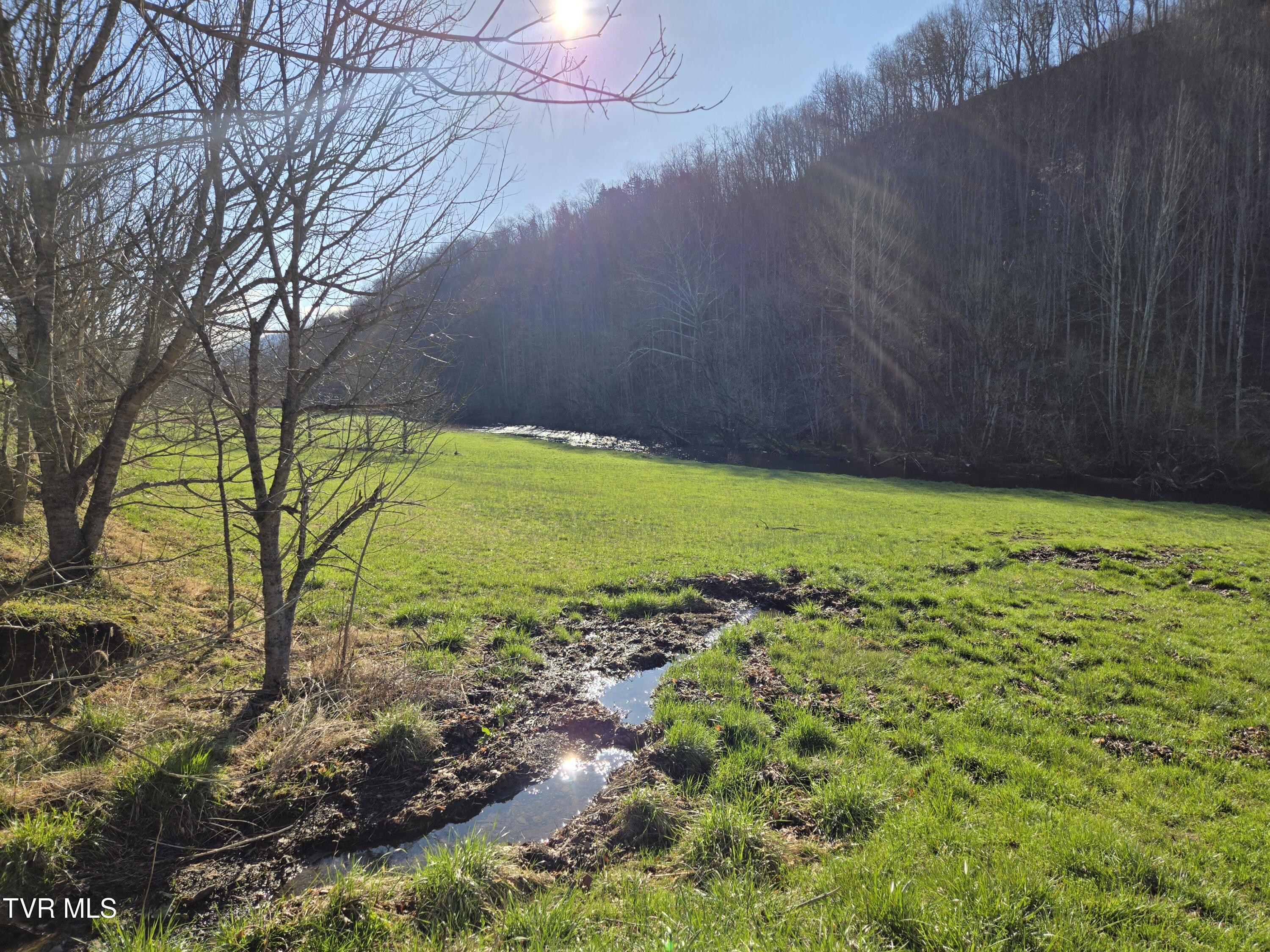 2388 Ruritan Run Road Road, Gate City, Virginia image 37