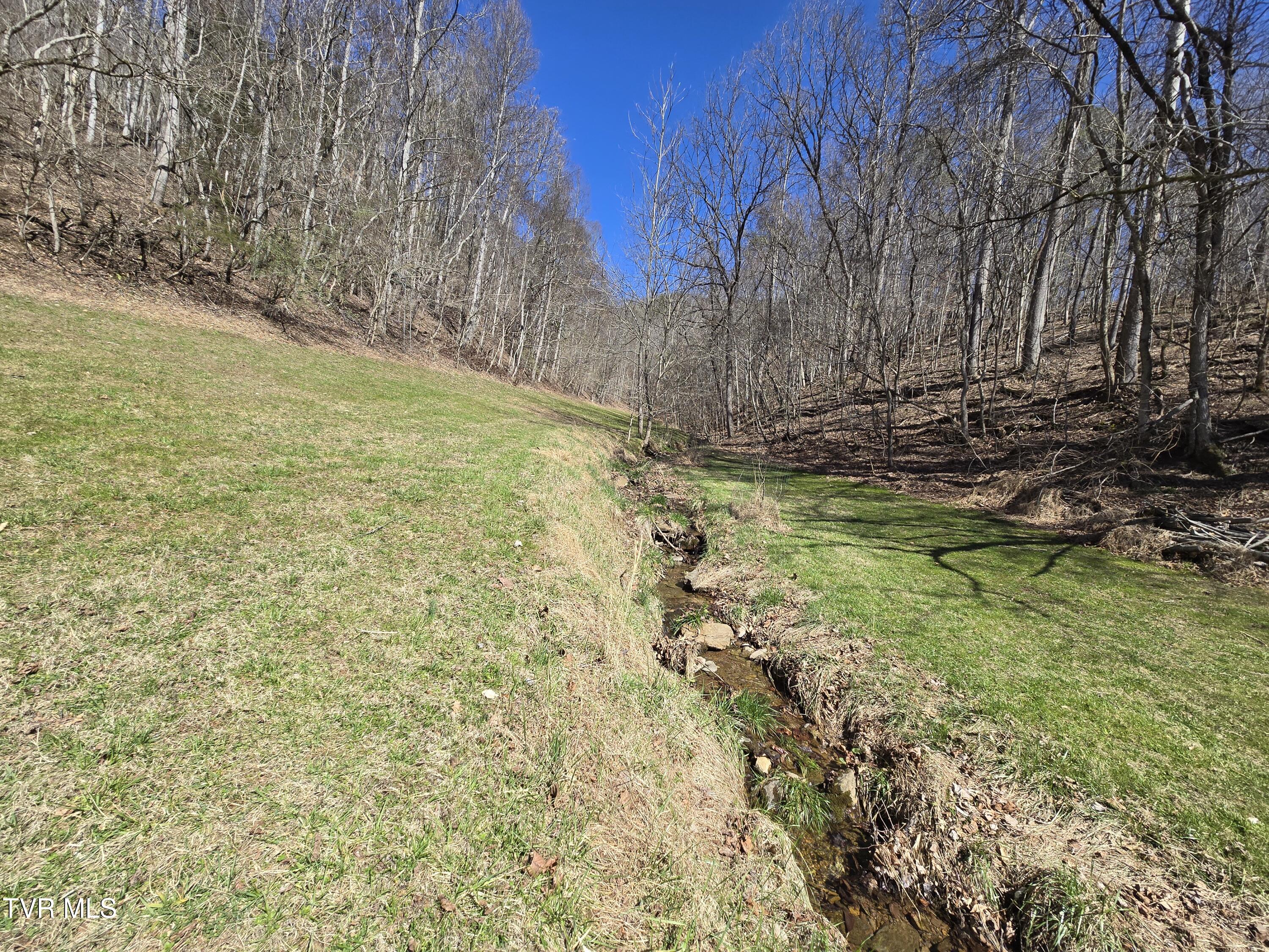 2388 Ruritan Run Road Road, Gate City, Virginia image 48