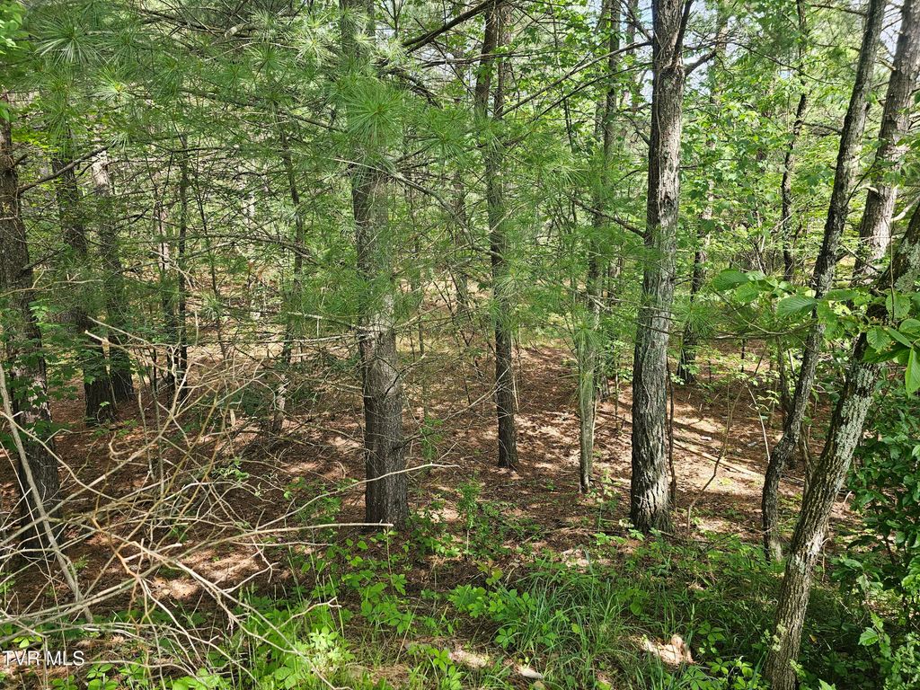 Photo of Tbd Old Hurricane Road, Wise, VA 24293 (MLS # 9996218)